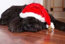 Perro navideño