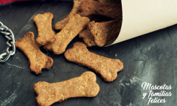 galletas caseras de perro
