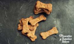 Galletas artesanas para perros